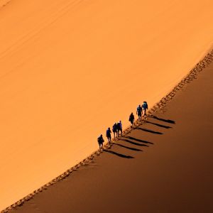 250km Desert Race Food &  Nutrition Pack Meaty